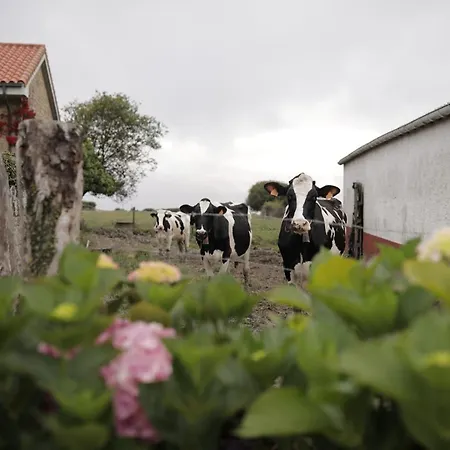 Hotel apartamentowy El Faro Unkempt - Tazones Villar (Oles)