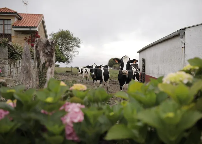 Aparthotel El Faro Unkempt - Tazones Villar (Oles)