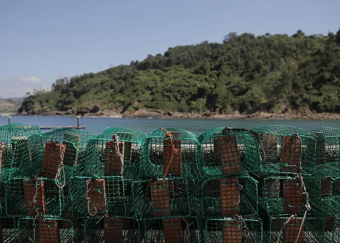 El Faro Unkempt - Tazones Aparthotel 4*